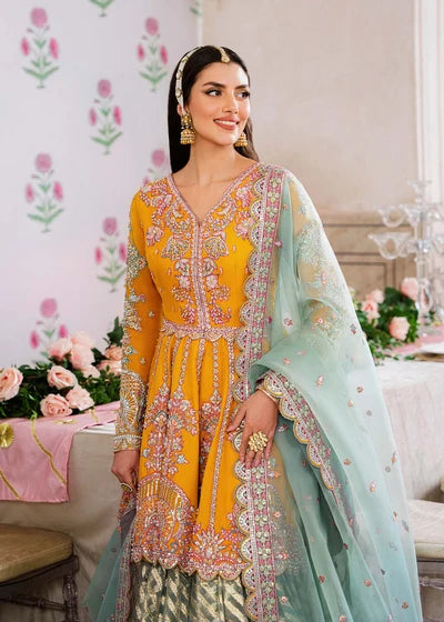 Dilaab Dress