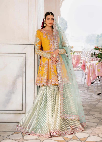 Dilaab Dress