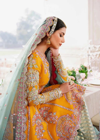 Dilaab Dress