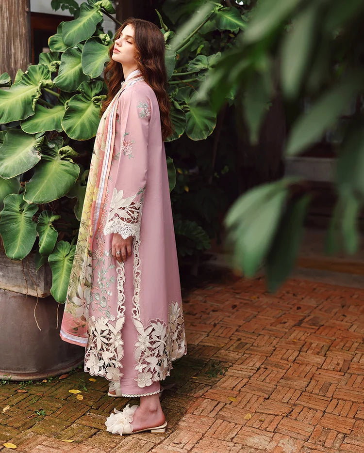 Noorani Grace