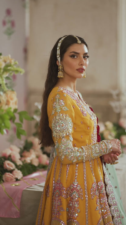 Dilaab Dress
